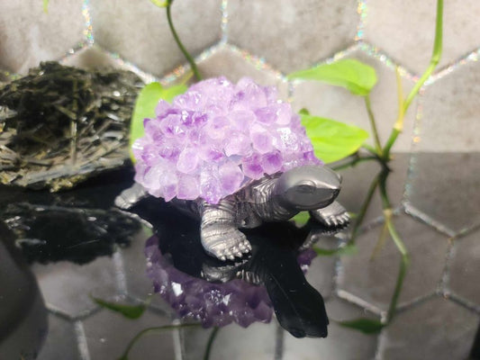 Crystal Turtles