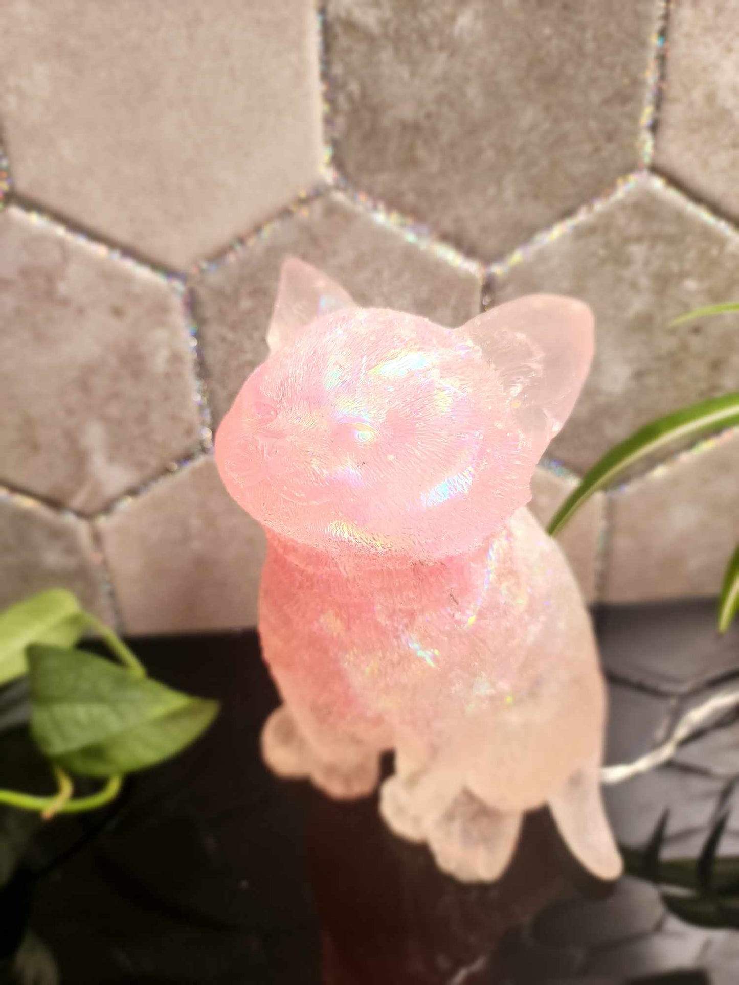 Kitty Cat Lamp